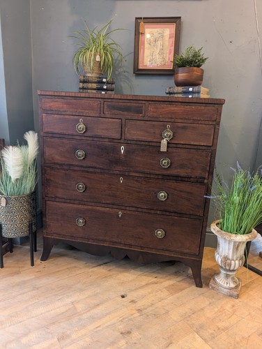 Large antique georgian chest - large,